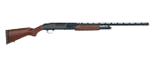 BB Gun